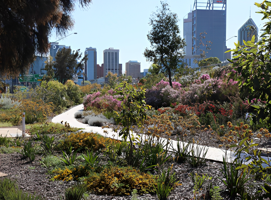 Photo of foliage with the Perth city in the horizon.