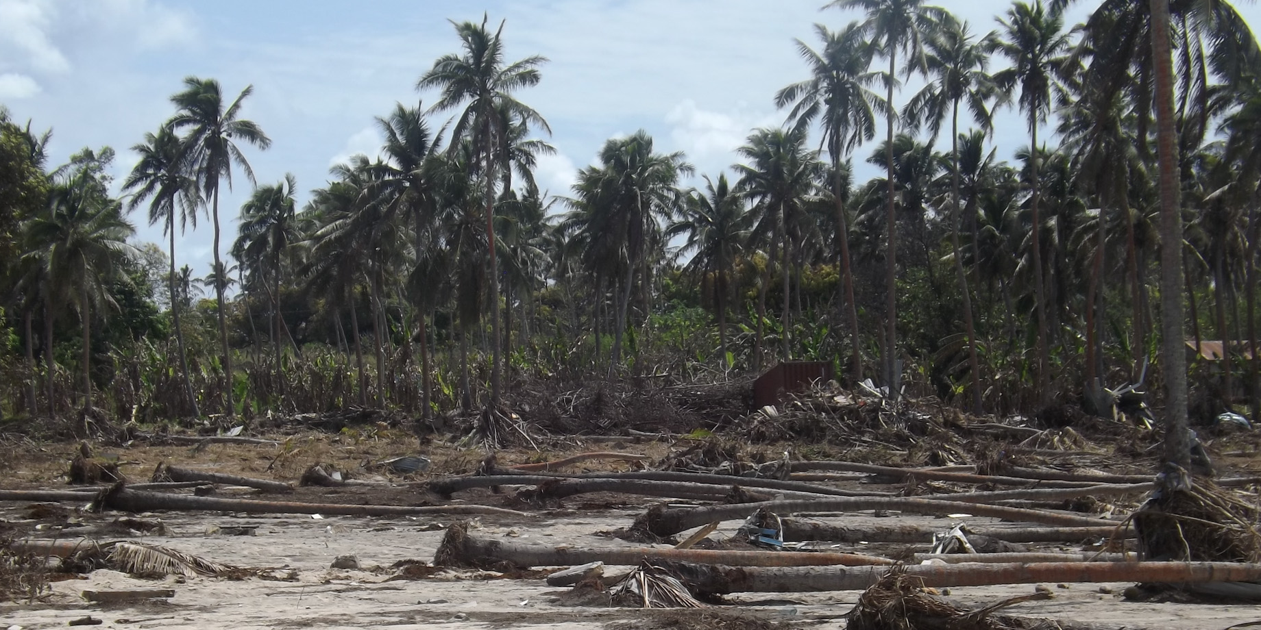 Croplands impacted by Hunga Ha'apai eruption.