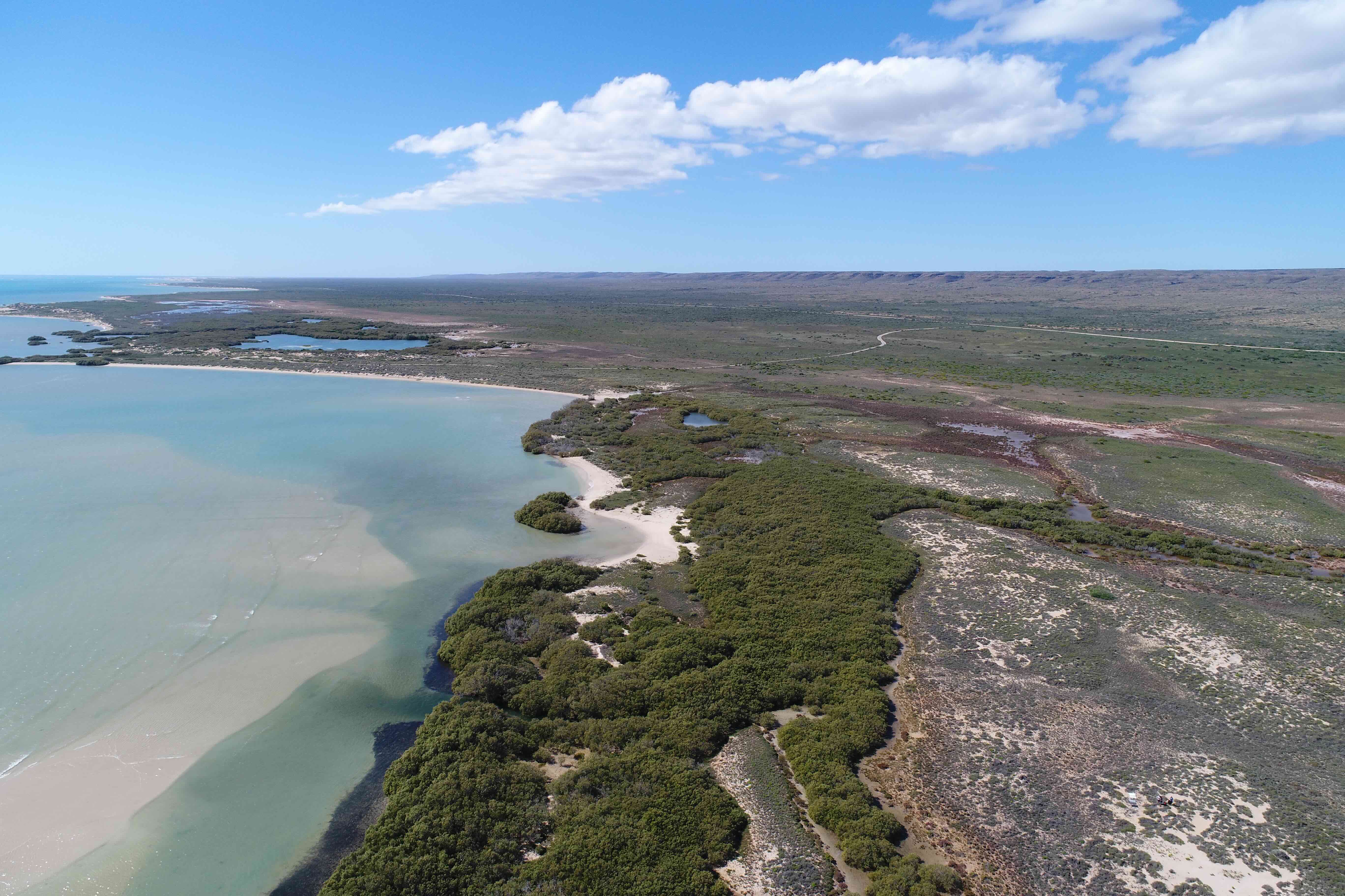 Drone photo mangrove bay in the Ningaloo Marine Park and World Heritage Area in Exmouth.